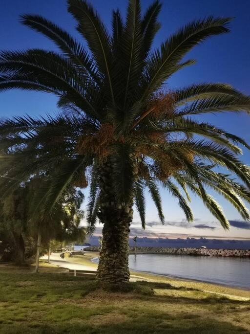 Bel Appartement 6 Personnes - Proche Toutes Commodites Toulon Ngoại thất bức ảnh